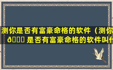 测你是否有富豪命格的软件（测你 🍀 是否有富豪命格的软件叫什么）